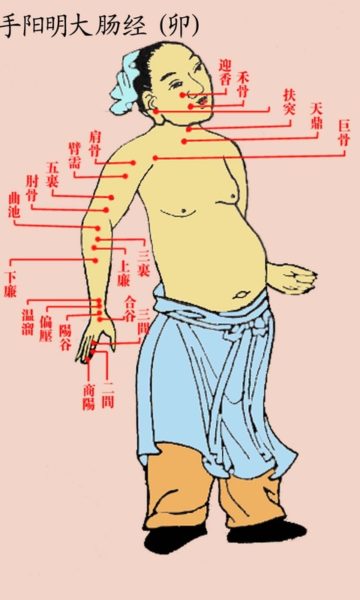 Acupuncture Miami Dr. He - Ancient Acupucture Chart